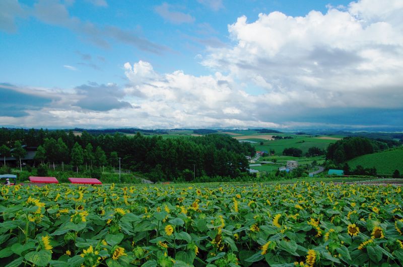 e0152576_2117551.jpg