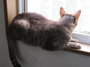 e0130185_1147108.jpg