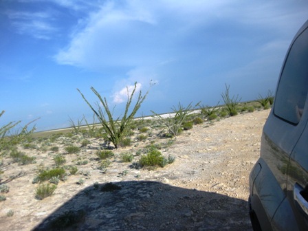 e0172085_148658.jpg