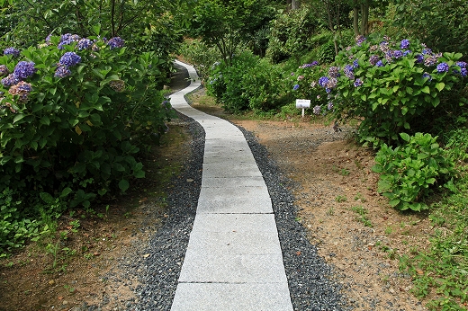 e0190885_19303170.jpg