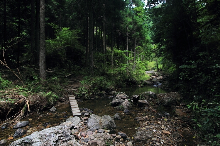 e0051888_3595188.jpg