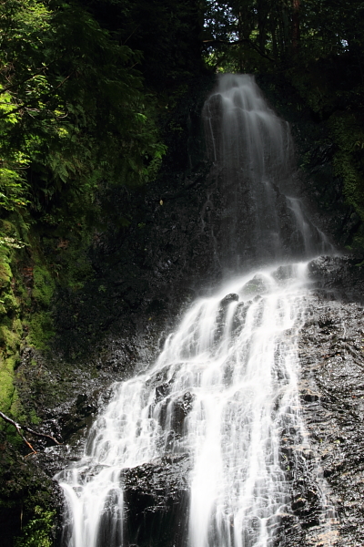 e0051888_401359.jpg