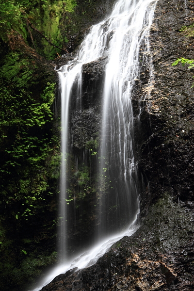 e0051888_4031100.jpg