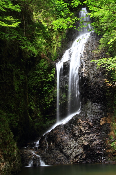 e0051888_405325.jpg
