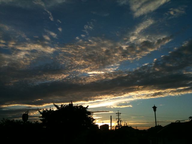 f0146388_1141183.jpg