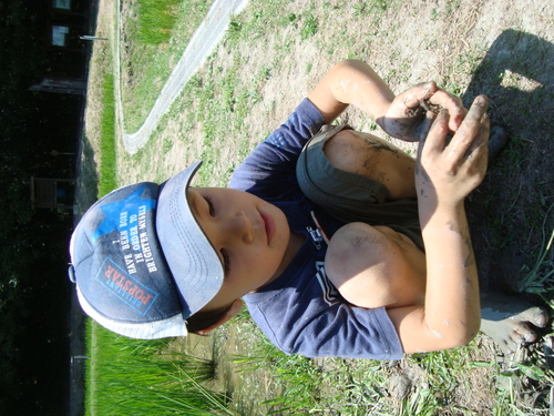 d0169689_1201236.jpg