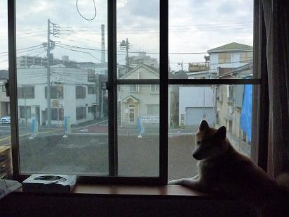c0123890_2053361.jpg