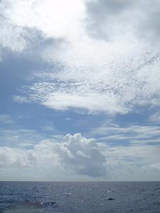 f0069890_13202688.jpg