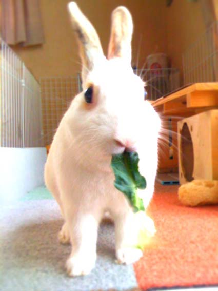f0201191_23345954.jpg