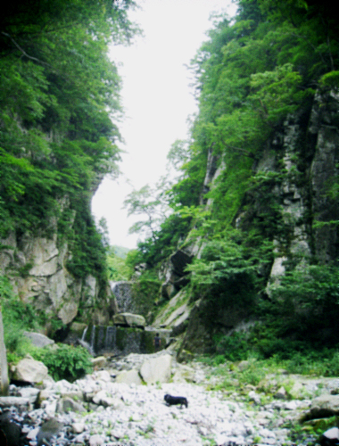 d0077603_1219670.jpg