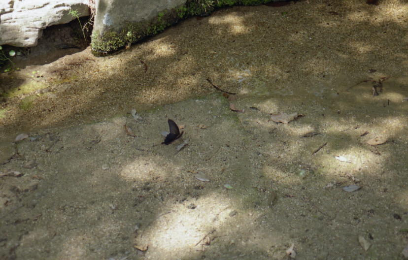 d0071507_22332586.jpg