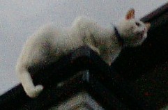 f0068511_0301983.jpg