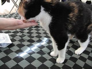 c0201113_23255314.jpg