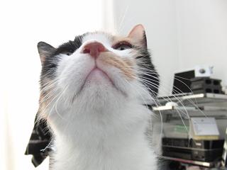 c0201113_23264157.jpg