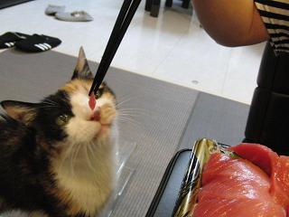 c0201113_23332489.jpg