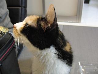c0201113_23344865.jpg