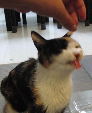 c0201113_23373688.jpg