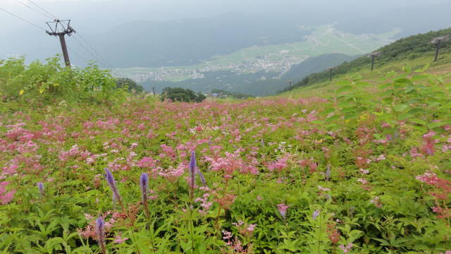 f0233414_22104038.jpg