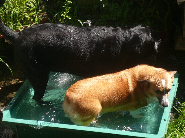 e0026017_1152303.jpg