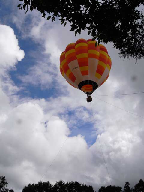e0049318_1130349.jpg