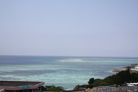 f0117618_23534269.jpg