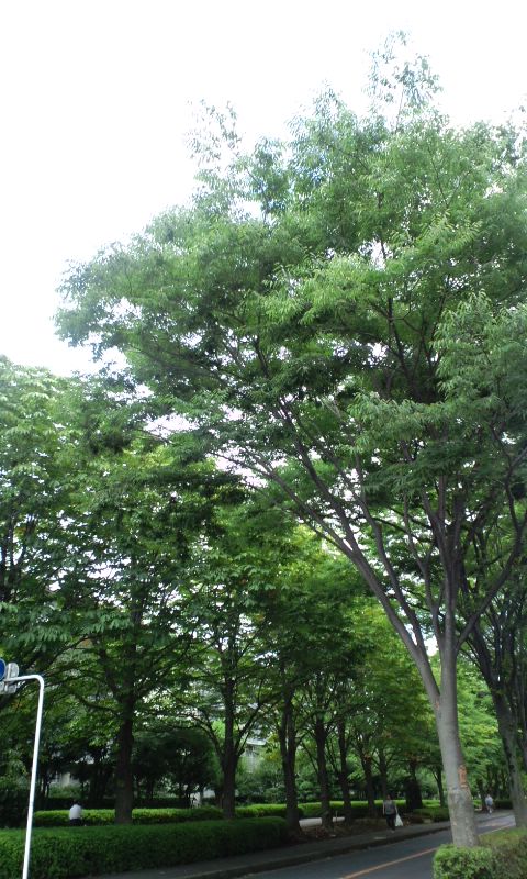 b0149320_0172715.jpg