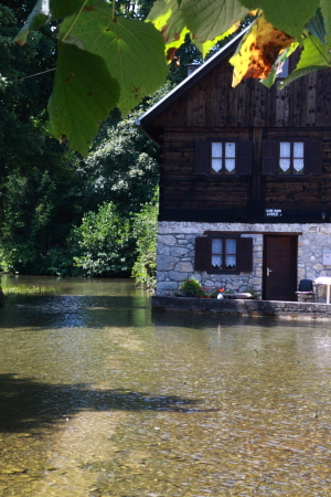 f0039021_1113757.jpg