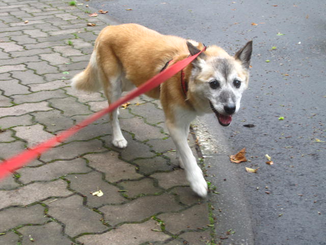 e0191826_22415138.jpg