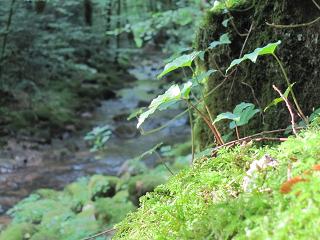 c0051529_1654544.jpg