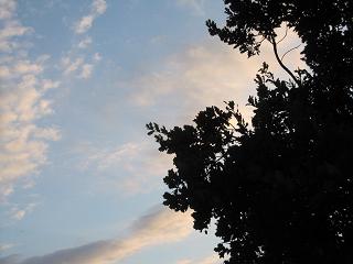 c0051529_16552465.jpg
