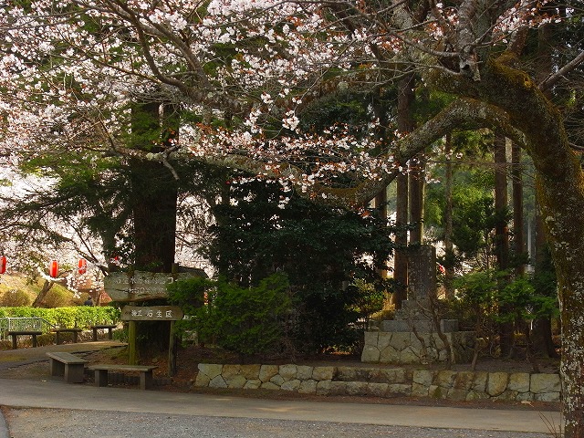 b0191932_17521824.jpg