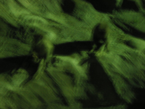 d0013834_1442431.jpg