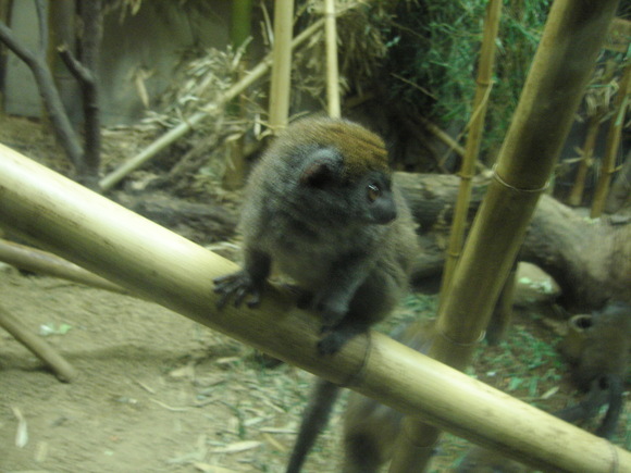 d0013834_1483134.jpg