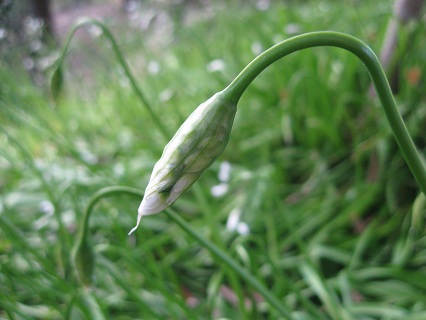 f0234936_0163299.jpg