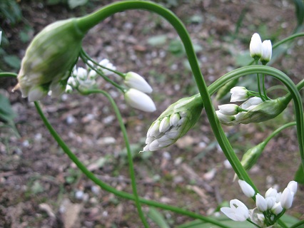 f0234936_0165599.jpg