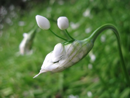 f0234936_0171558.jpg