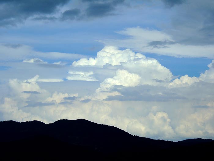 e0006242_15571018.jpg