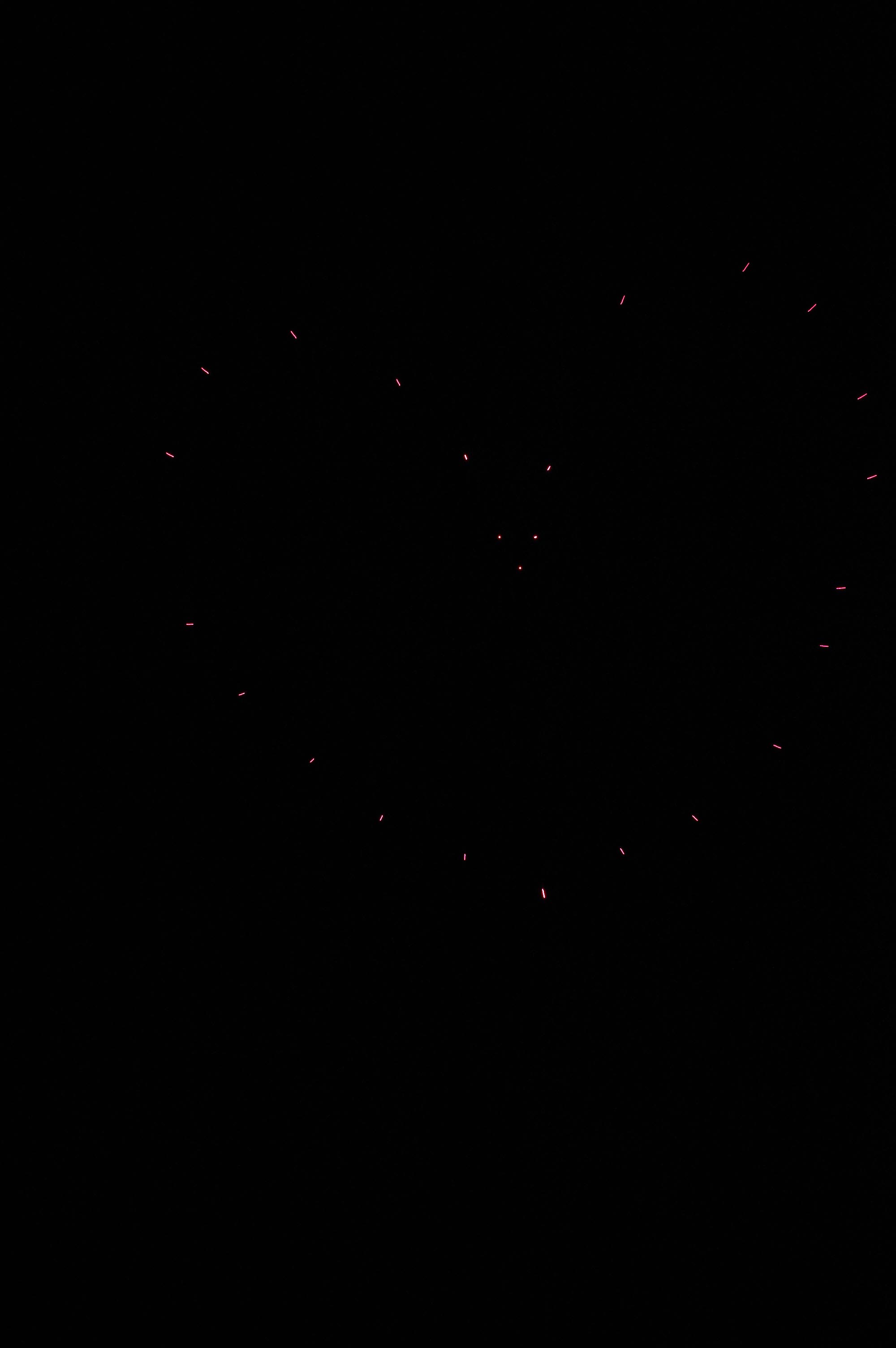 e0168342_22464992.jpg