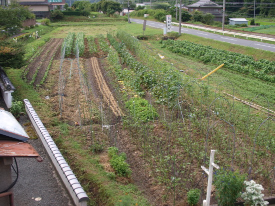 c0072843_185553.jpg
