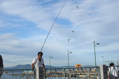 d0093043_179777.jpg