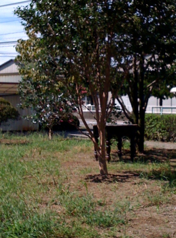 f0121751_124484.jpg