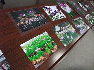 c0208355_159112.jpg
