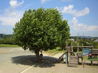 b0197668_923021.jpg