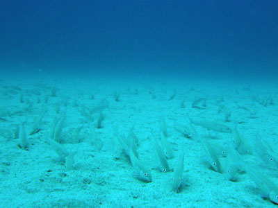 b0033573_1911790.jpg