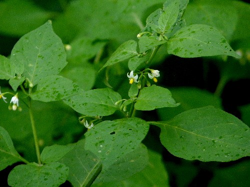 d0084473_22135475.jpg