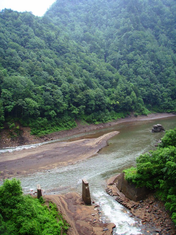 a0169776_23153417.jpg