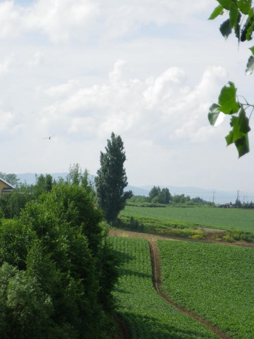 c0093179_17361966.jpg