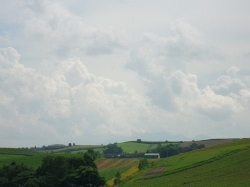 c0093179_18174688.jpg