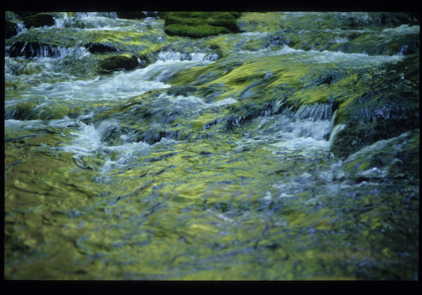 a0053783_11483626.jpg
