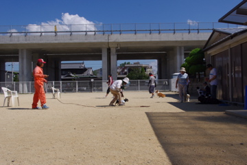 d0137083_21115183.jpg